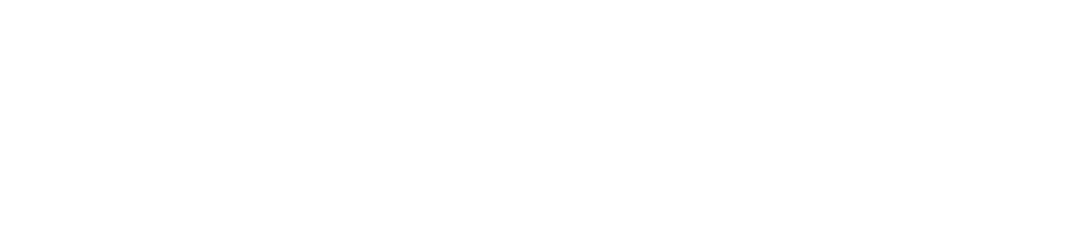logo Stiga